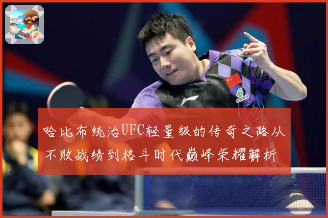 哈比布统治UFC轻量级的传奇之路从不败战绩到格斗时代巅峰荣耀解析