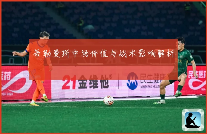 蒂勒曼斯中场价值与战术影响解析