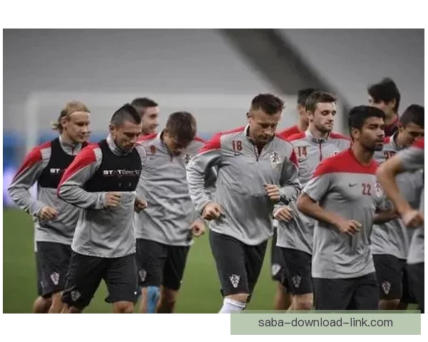 揭秘世界杯买球盘口背后的规律与投注技巧全解析